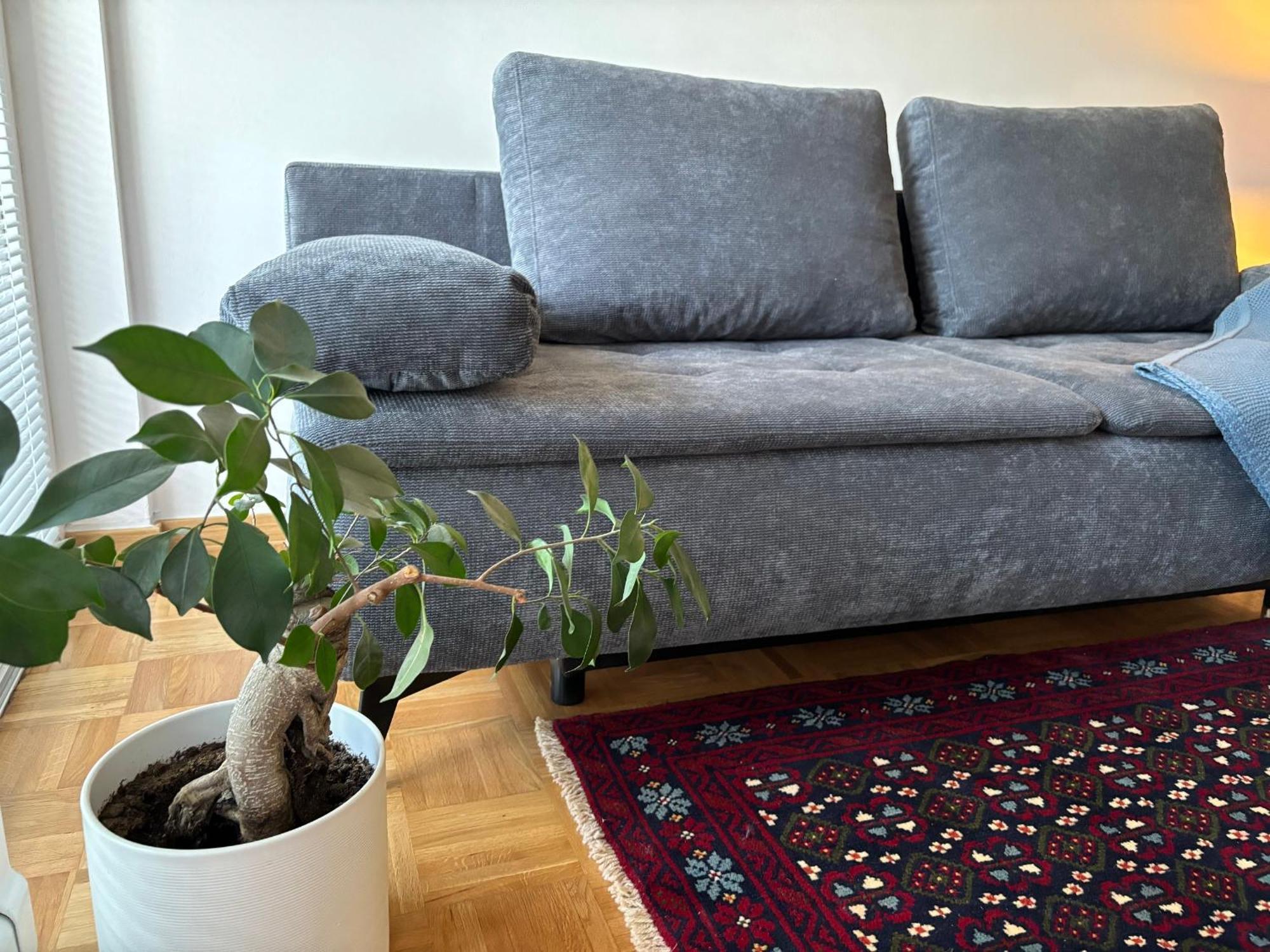Ljubljanica Apartment リュブリャナ エクステリア 写真