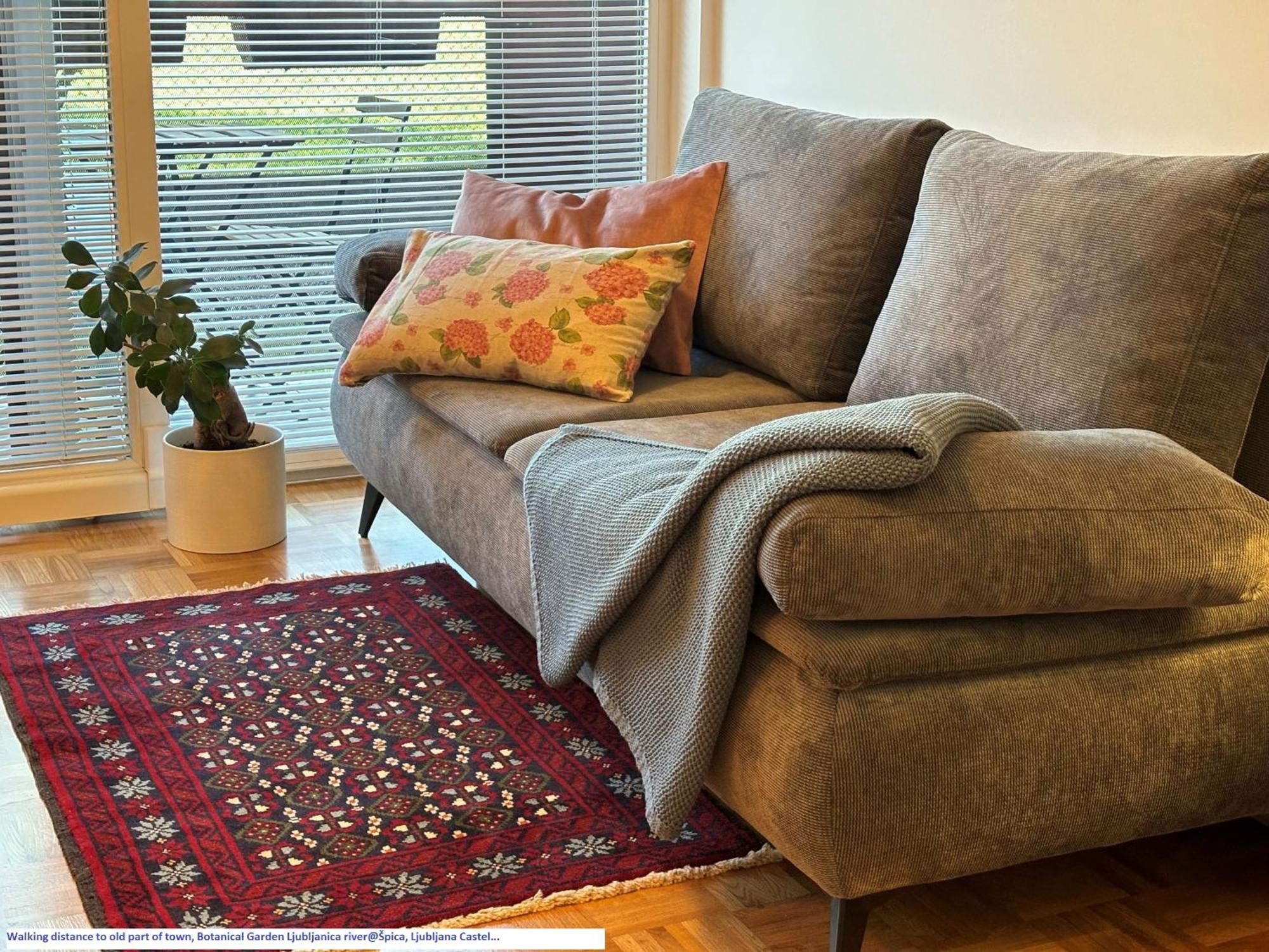 Ljubljanica Apartment リュブリャナ エクステリア 写真